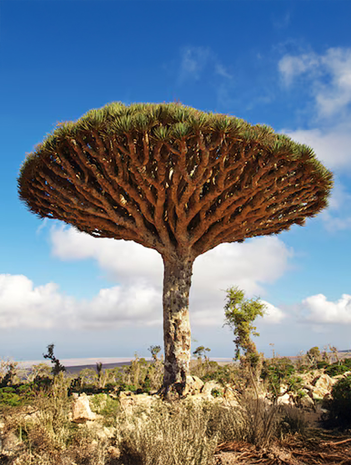 Homhil National Park